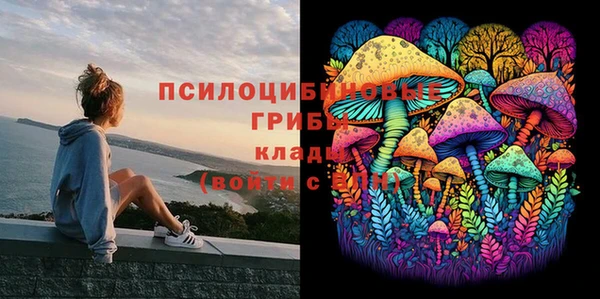 герыч Алзамай